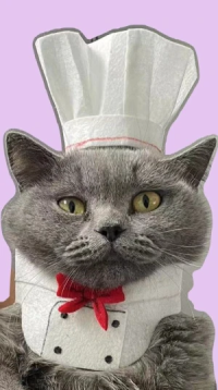 Felt Pet Clothing and Accessories
